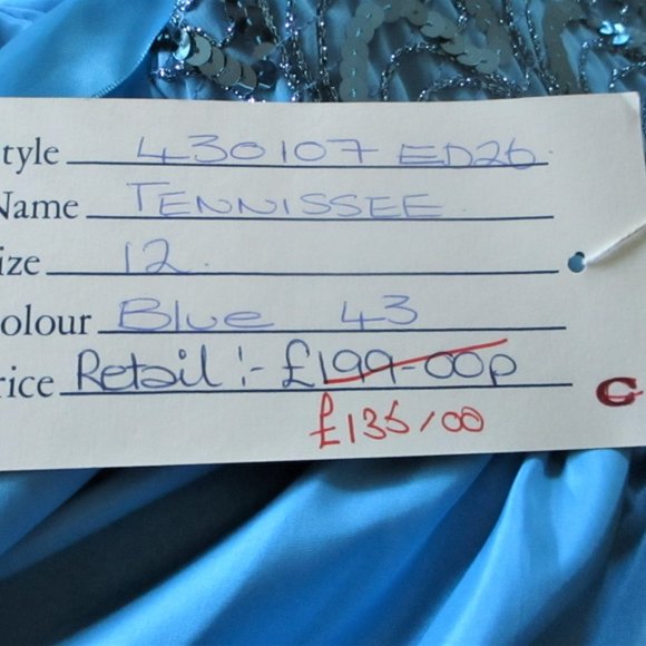 Gorgeous Blue Ball Gown - Picture 5 of 13